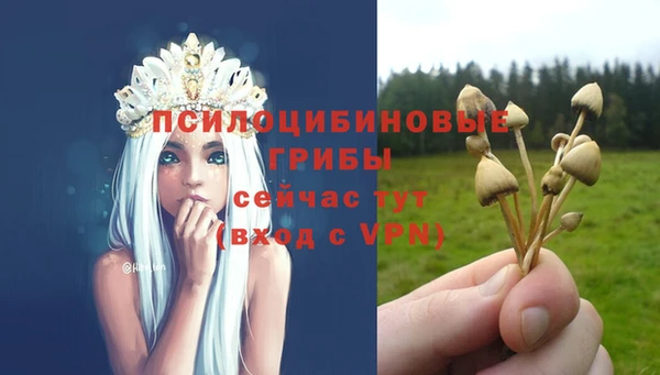 2c-b Абаза