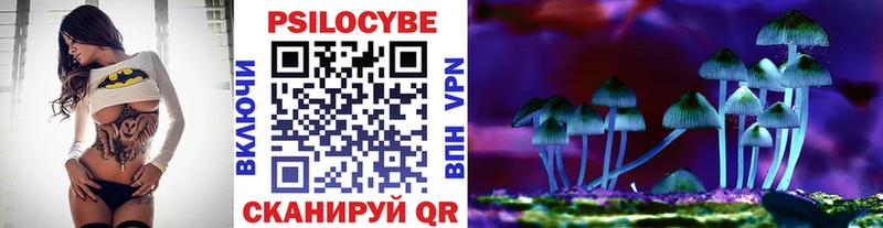 Псилоцибиновые грибы Psilocybe  где купить наркоту  Галич 